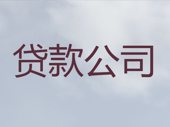 保定抵押贷款公司-银行担保贷款